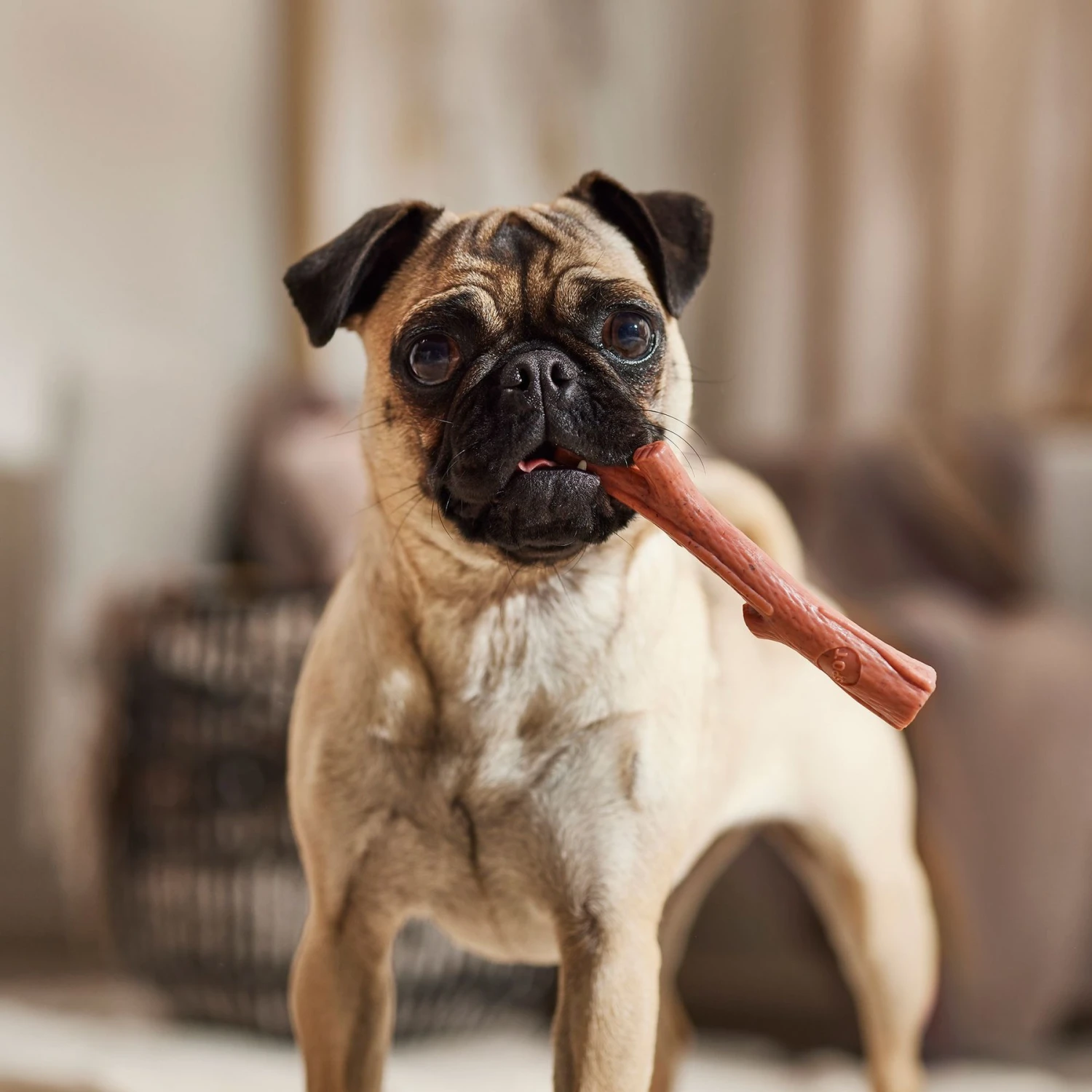 Ethical Pet Bambone & Branch Beef Dog Toy 5 Ethical Pet Bambone & Branch Beef Dog Toy - Image 5