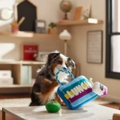 Frisco Back To School Lunchbox With Juice & Apple Plush With Rope Squeaky Dog Toy 5 Frisco Back To School Lunchbox With Juice & Apple Plush With Rope Squeaky Dog Toy -Pet Toys Shop 279427 PT3. AC SS1800 V1628191372