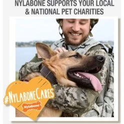 Nylabone Power Chew Nylon Dog Bones Bundle Chicken, Bacon & Peanut Butter 17 Nylabone Power Chew Nylon Dog Bones Bundle Chicken, Bacon & Peanut Butter -Pet Toys Shop 279847 PT8. AC SS1800 V1688393597