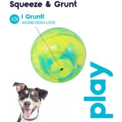 Petstages Grunt N Punt Squeaky Tennis Ball Dog Toy 11 Petstages Grunt N Punt Squeaky Tennis Ball Dog Toy -Pet Toys Shop 280172 PT4. AC SS1800 V1636515449