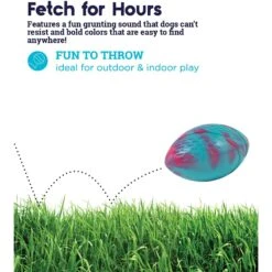 Petstages Grunt N Punt Football Dog Toy, Blue & Pink -Pet Toys Shop 280174 PT2. AC SS1800 V1636504901