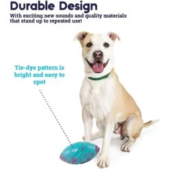 Petstages Grunt N Punt Football Dog Toy, Blue & Pink -Pet Toys Shop 280174 PT3. AC SS1800 V1636517208