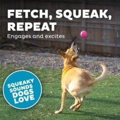 Planet Dog Squeak Ball Dog Toy -Pet Toys Shop 281722 PT3. AC SS1800 V1646780277