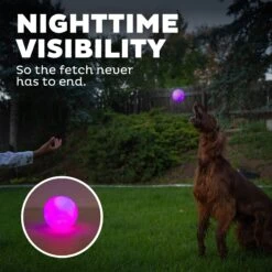 Planet Dog Orbee-Tuff Strobe Ball Light Up LED Dog Toy -Pet Toys Shop 281727 PT4. AC SS1800 V1646789609