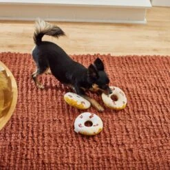 Frisco Fall Maple Bacon Donuts Plush Squeaky Dog Toy, 3 Count -Pet Toys Shop 285613 PT3. AC SS1800 V1629725241