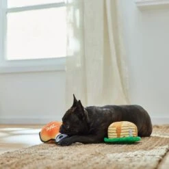 Frisco Fall Pancakes & Maple Syrup Plush Squeaky Dog Toy, 2 Count -Pet Toys Shop 285627 PT3. AC SS1800 V1629725170