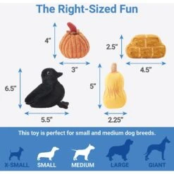 Frisco Fall Farmhouse Hide & Seek Puzzle Plush Squeaky Dog Toy -Pet Toys Shop 285629 PT2. AC SS1800 V1636990881