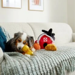 Frisco Fall Farmhouse Hide & Seek Puzzle Plush Squeaky Dog Toy -Pet Toys Shop 285629 PT3. AC SS1800 V1629725107