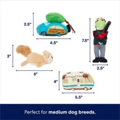 Frisco Holiday House Hide & Seek Puzzle Plush Squeaky Dog Toy 9 Frisco Holiday House Hide & Seek Puzzle Plush Squeaky Dog Toy -Pet Toys Shop 287083 PT2. AC SS1800 V1695046042