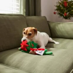 Frisco Flower Bouquet Plush Squeaky Dog Toy 7 Frisco Flower Bouquet Plush Squeaky Dog Toy -Pet Toys Shop 287163 PT3. AC SS1800 V1632776821