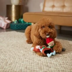 Frisco Holiday Carolers Plush Squeaky Dog Toy, 3 Count -Pet Toys Shop 287169 PT3. AC SS1800 V1632774907