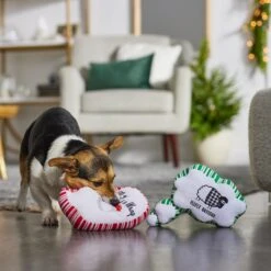 Frisco Holiday Thought Bubble Plush Squeaky Dog Toy, 2 Count 5 Frisco Holiday Thought Bubble Plush Squeaky Dog Toy, 2 Count -Pet Toys Shop 287195 PT3. AC SS1800 V1632772983