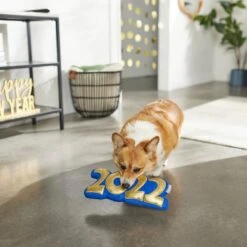 Frisco New Year's Eve 2022 Plush Squeaky Dog Toy -Pet Toys Shop 288476 PT3. AC SS1800 V1638287927