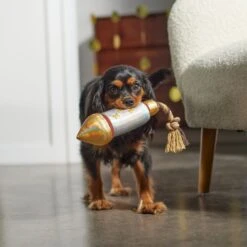 Frisco Firework Plush With Rope Squeaky Dog Toy 5 Frisco Firework Plush With Rope Squeaky Dog Toy -Pet Toys Shop 288480 PT3. AC SS1800 V1638291301