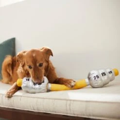 Frisco Weight Bar Wagazoo Plush Squeaky Dog Toy -Pet Toys Shop 288917 PT3. AC SS1800 V1638292413