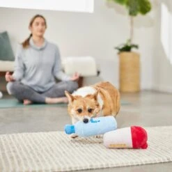 Frisco Protein & Water Bottle Cruncher Dog Toy -Pet Toys Shop 288927 PT3. AC SS1800 V1638291847