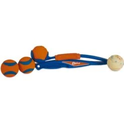 Chuckit! National Fetch Day Gearbox Dog Toy -Pet Toys Shop 297206 PT3. AC SS1800 V1626732368