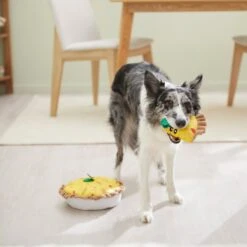 Frisco Brunch Quiche 2-in-1 Plush Squeaky Dog Toy -Pet Toys Shop 297248 PT3. AC SS1800 V1642089163