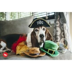 P.L.A.Y. Pet Lifestyle And You Mutt Hatter Squeaky Dog Toy, 5 Count -Pet Toys Shop 297626 PT2. AC SS1800 V1621035731