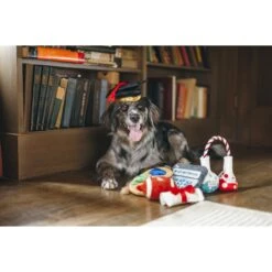 P.L.A.Y. Pet Lifestyle And You Back To School Squeaky Dog Toy, 5 Count -Pet Toys Shop 297628 PT2. AC SS1800 V1621032535