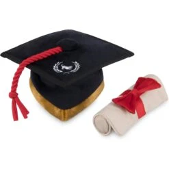 P.L.A.Y. Pet Lifestyle And You Back To School Squeaky Dog Toy, 5 Count -Pet Toys Shop 297628 PT6. AC SS1800 V1621030128