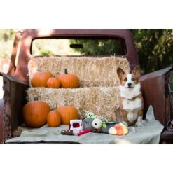 P.L.A.Y. Pet Lifestyle And You Howling Haunts Squeaky Dog Toy, 5 Count -Pet Toys Shop 297638 PT2. AC SS1800 V1621028055