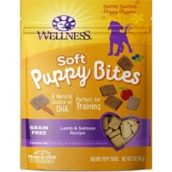Outward Hound Tail Teaser With Refill Dog & Cat Teaser Toy & Wellness Soft Puppy Bites Lamb & Salmon Recipe Grain-Free Natural Dog Treats -Pet Toys Shop 298374 PT4. AC SS1800 V1623196342