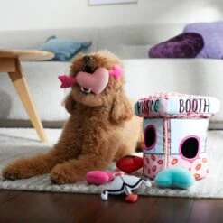 Frisco Valentine Kissing Booth Hide & Seek Puzzle Plush Squeaky Dog Toy 8 Frisco Valentine Kissing Booth Hide & Seek Puzzle Plush Squeaky Dog Toy -Pet Toys Shop 298943 PT3. AC SS1800 V1638987417
