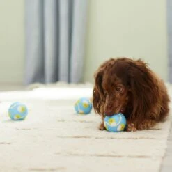 Frisco Easter Fetch Squeaky Tennis Ball Dog Toy, Medium, 3 Count -Pet Toys Shop 304964 PT4. AC SS1800 V1703184745