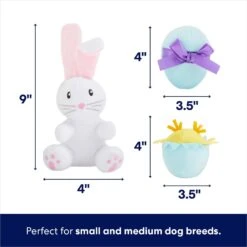 Frisco Easter Basket Hide & Seek Puzzle Plush Squeaky Dog Toy -Pet Toys Shop 304982 PT2. AC SS1800 V1702665735