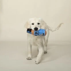 Pet Shop By Fringe Studio K-9 Cold Brew Squeaky Plush Dog Toy 5 Pet Shop By Fringe Studio K-9 Cold Brew Squeaky Plush Dog Toy -Pet Toys Shop 306639 PT2. AC SS1800 V1623280344