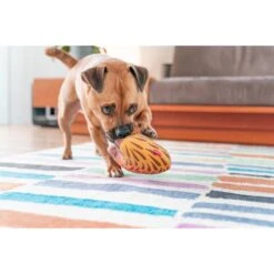 Pet Toys Shop -Pet Toys Shop 308915 PT1. AC SS1800 V1685983375