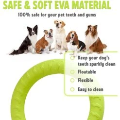 PetSpy Fitness Ring Dog Toy -Pet Toys Shop 309601 PT2. AC SS1800 V1624661580