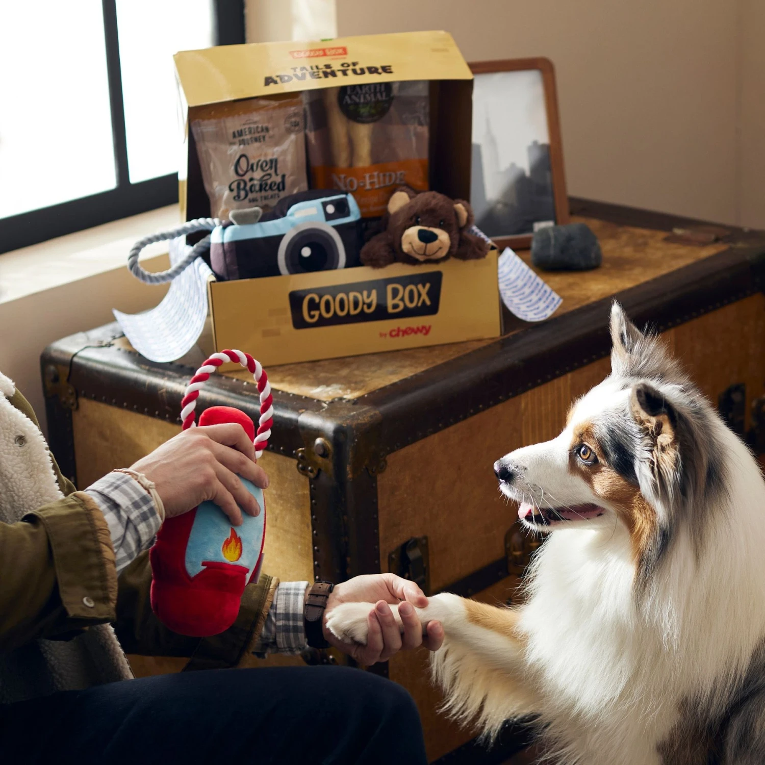 Goody Box Adventure Toys & Treats For Dogs, Medium/ Large 3 Goody Box Adventure Toys & Treats For Dogs, Medium/ Large - Image 3