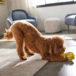 STAR WARS C-3PO Bottle Plush Squeaky Dog Toy -Pet Toys Shop 316366 PT3. AC SS1800 V1645205607