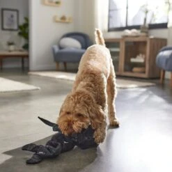 STAR WARS DARTH VADER Bungee Plush Squeaky Dog Toy 5 STAR WARS DARTH VADER Bungee Plush Squeaky Dog Toy -Pet Toys Shop 316378 PT3. AC SS1800 V1645205728