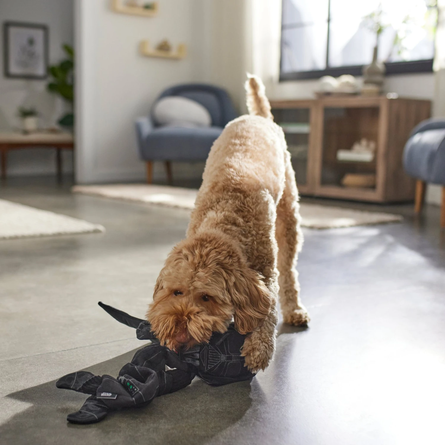 STAR WARS DARTH VADER Bungee Plush Squeaky Dog Toy 3 STAR WARS DARTH VADER Bungee Plush Squeaky Dog Toy - Image 3