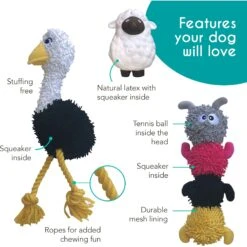 Rocket & Rex Squeakers, Rope & Plush Dog Toy Gift Set, 3 Count -Pet Toys Shop 318047 PT2. AC SS1800 V1632175571