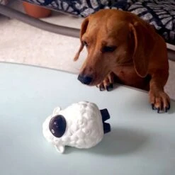 Rocket & Rex Squeakers, Rope & Plush Dog Toy Gift Set, 3 Count -Pet Toys Shop 318047 PT3. AC SS1800 V1632175874