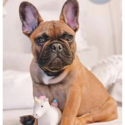 Rocket & Rex Oh My! Unicorn Stuffing-Free Squeaky Plush Dog Chew Toy Set, 3 Count -Pet Toys Shop 318049 PT2. AC SS1800 V1632180139