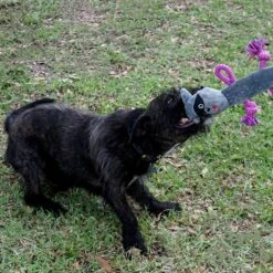 Rocket & Rex Oh My! Unicorn Stuffing-Free Squeaky Plush Dog Chew Toy Set, 3 Count -Pet Toys Shop 318049 PT5. AC SS1800 V1632178882