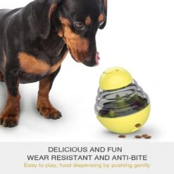 Hanamya Interactive Food/Treats Dispensing Dog Toy -Pet Toys Shop 318128 PT2. AC SS1800 V1703881074