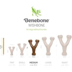 Benebone Bacon Flavor Wishbone Tough Dog Chew Toy & Benebone Bacon Flavor Dental Tough Dog Chew Toy 13 Benebone Bacon Flavor Wishbone Tough Dog Chew Toy & Benebone Bacon Flavor Dental Tough Dog Chew Toy -Pet Toys Shop 318894 PT4. AC SS1800 V1702498929