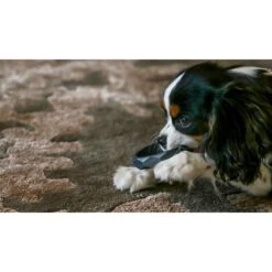 Sweet Paws Wearable Puppy Teether Stack Party Of 4 14 Sweet Paws Wearable Puppy Teether Stack Party Of 4 -Pet Toys Shop 325664 PT5. AC SS1800 V1635193017