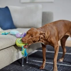 Pixar Monsters, Inc. Plush With Rope Squeaky Dog Toy 5 Pixar Monsters, Inc. Plush With Rope Squeaky Dog Toy -Pet Toys Shop 328787 PT3. AC SS1800 V1659031932