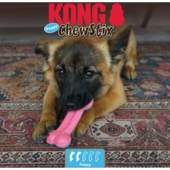 KONG ChewStix Puppy Curve Bone, Pink/Blue -Pet Toys Shop 329440 PT4. AC SS1800 V1634836300