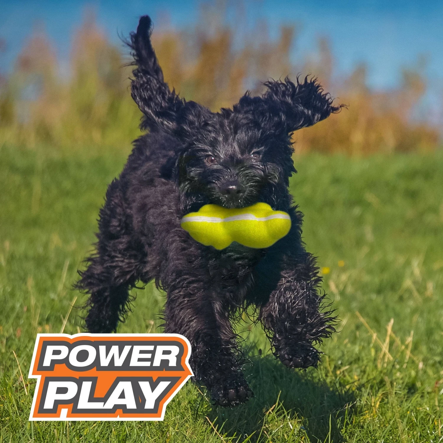 Nylabone Power Play Tennis Teddy Gripz Dog Toy 5 Nylabone Power Play Tennis Teddy Gripz Dog Toy - Image 5