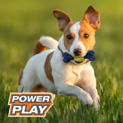 Nylabone Power Play Tennis Play 'n Fetch Interactive Dog Toy -Pet Toys Shop 329499 PT4. AC SS1800 V1685647808