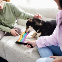 Frisco Pride Flag Flat Squeaky Dog Toy 5 Frisco Pride Flag Flat Squeaky Dog Toy -Pet Toys Shop 331640 PT3. AC SS1800 V1647355852