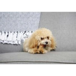 Hartz Chew 'n Clean Chicken Flavored Drumstick Dog Treat & Chew Toy & Hartz Oinkies Porkalicious Jerky Chicken Natural Chew Dog Treats -Pet Toys Shop 338799 PT4. AC SS1800 V1635917796